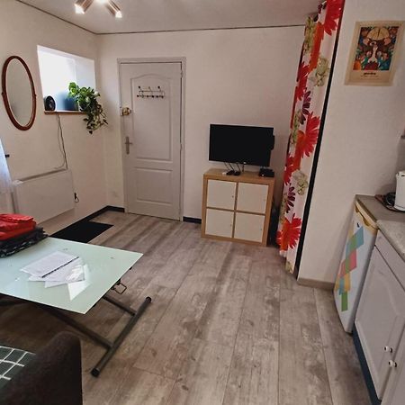 Studio Cosy Tout Confort Gaillac Centre. Bagian luar foto